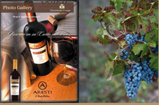Aresti Family Vineyards Chile - Curicó Valley